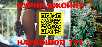 МДПВ Камышлов