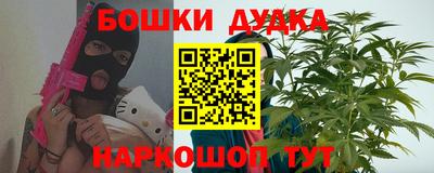 МДПВ Камышлов