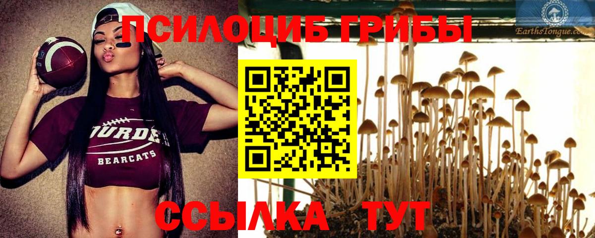 Галлюциногенные грибы мухоморы Красноуфимск